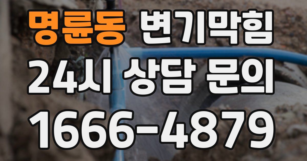 명륜동 변기