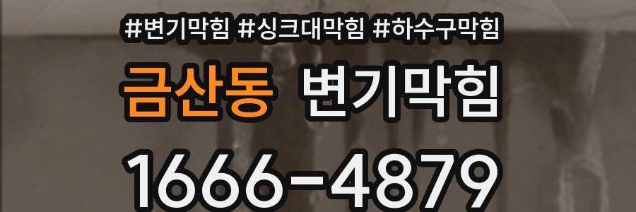 변기막힘