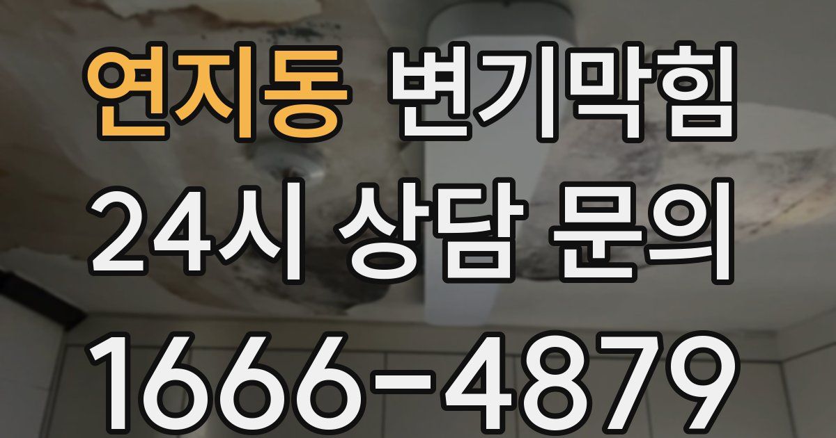 연지동 변기