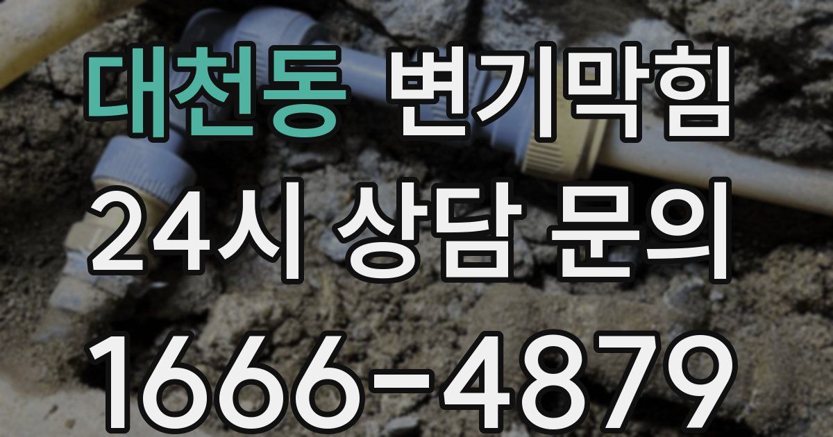 대천동 변기