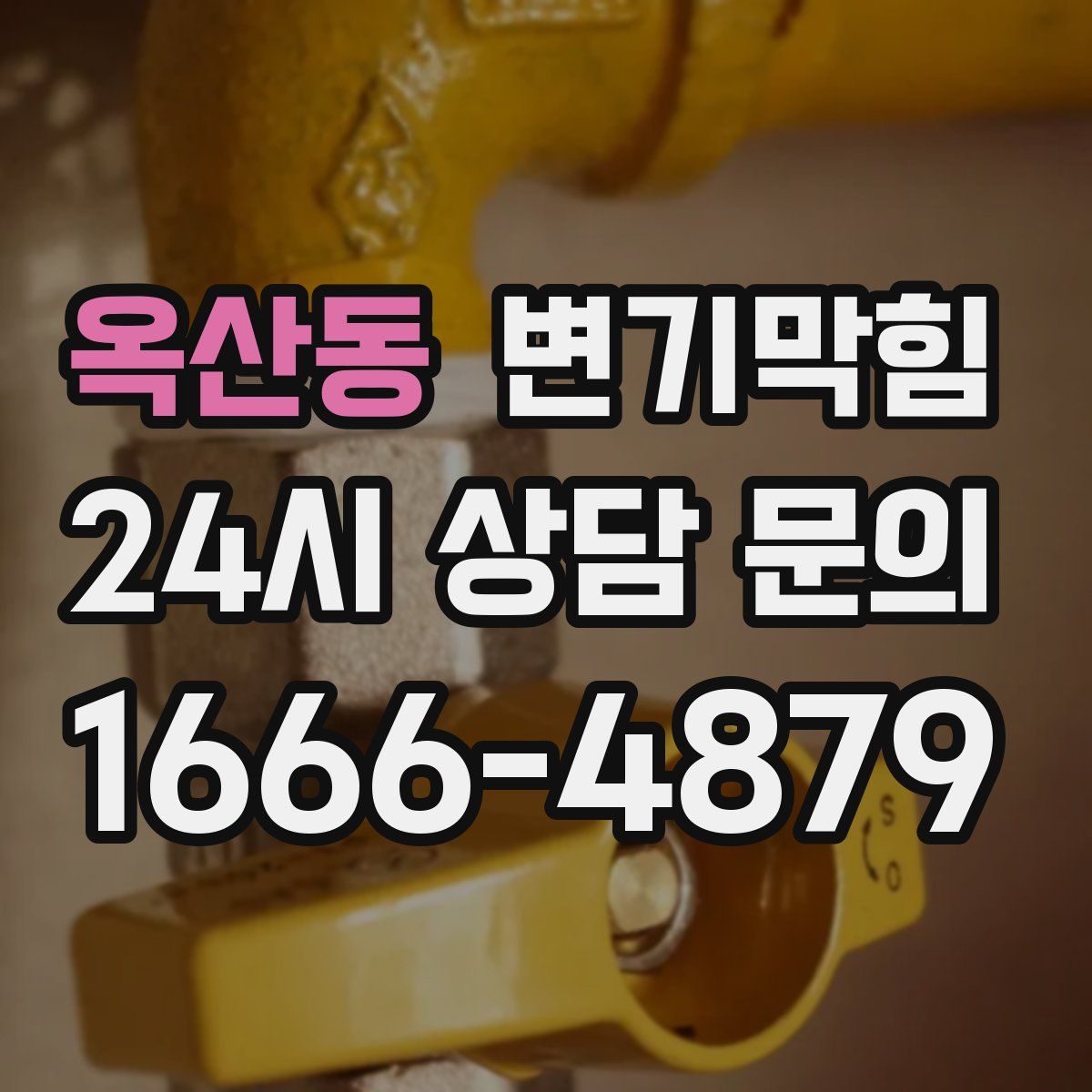 옥산동 변기막힘