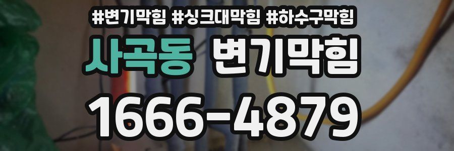 변기막힘