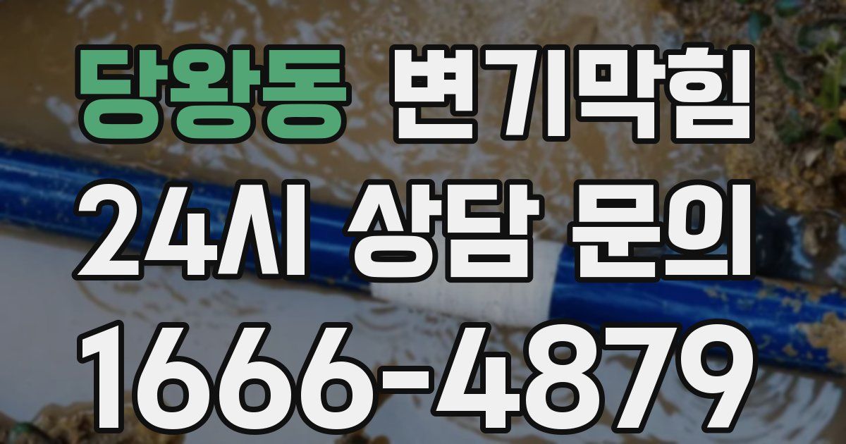 당왕동 변기