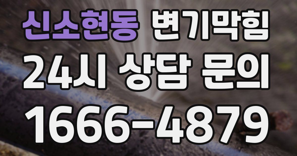 신소현동 변기
