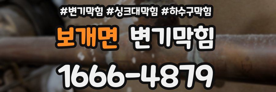 변기막힘