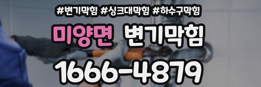 변기막힘