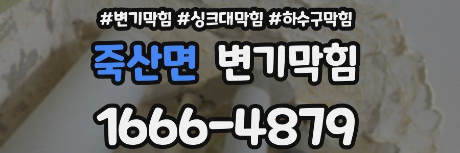 변기막힘