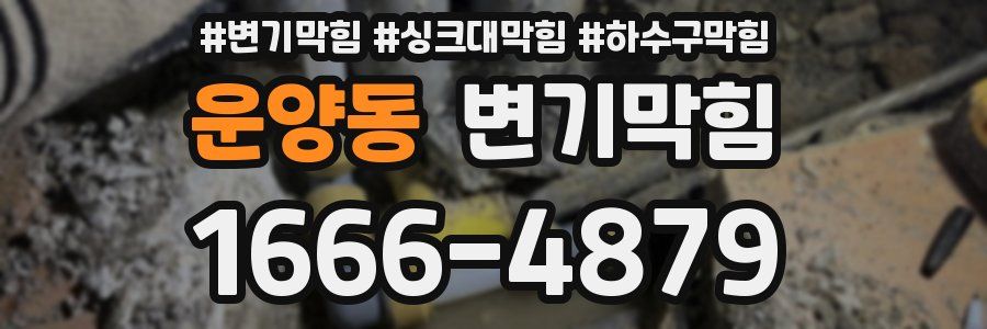 변기막힘