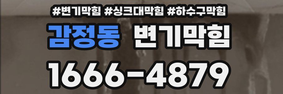 변기막힘