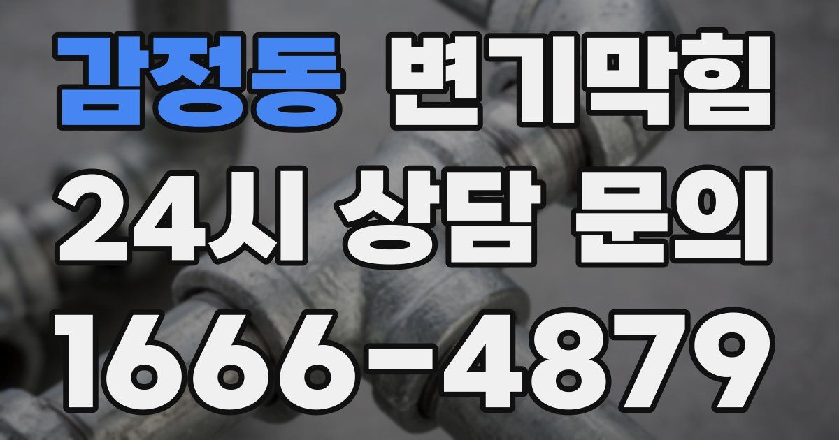감정동 변기