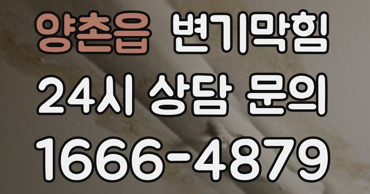 양촌읍 변기