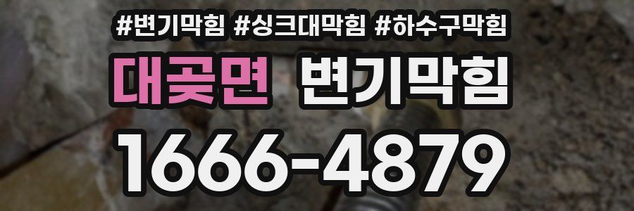 변기막힘