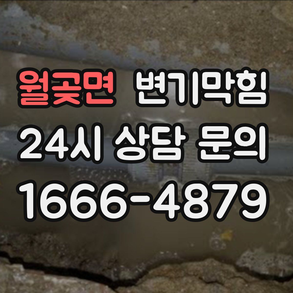 월곶면 변기막힘