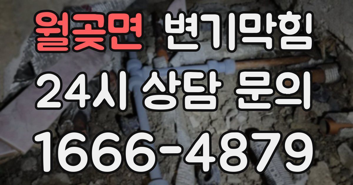월곶면 변기