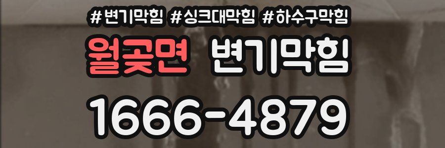 변기막힘