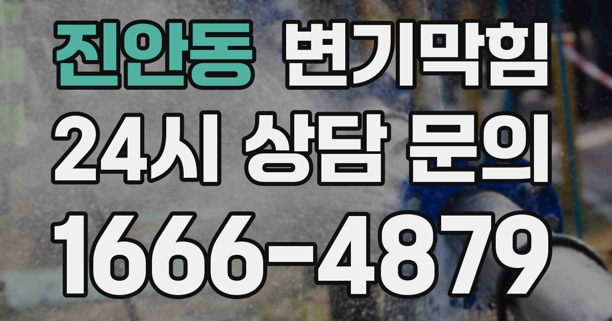 진안동 변기