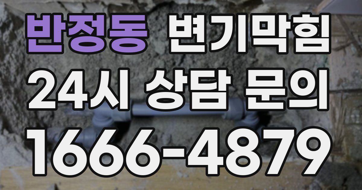 반정동 변기