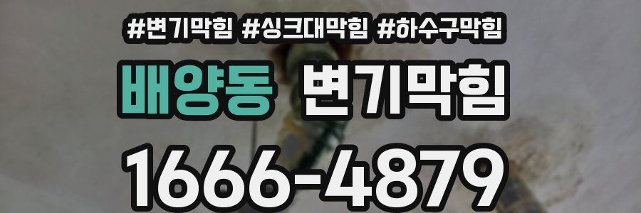 변기막힘