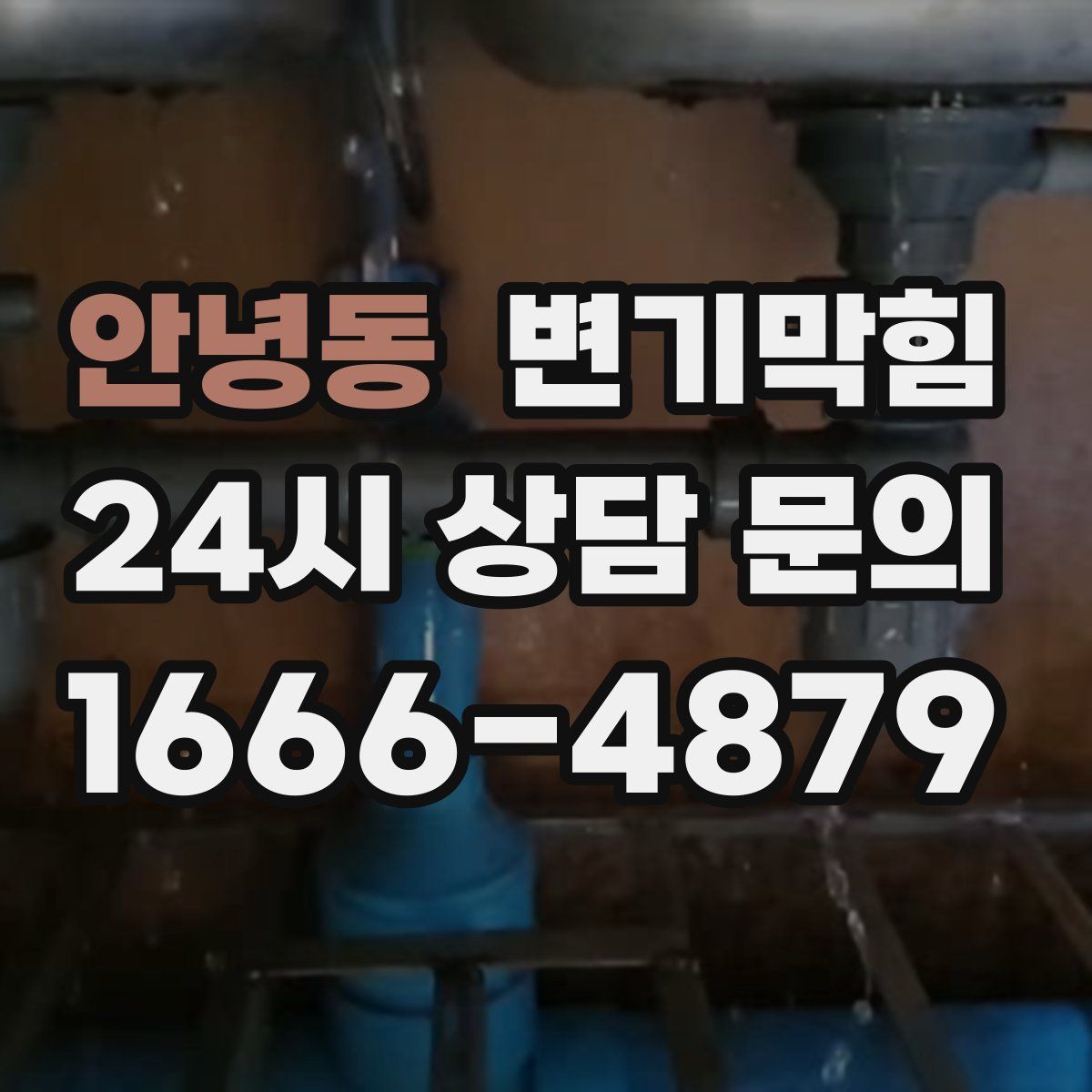 안녕동 변기막힘