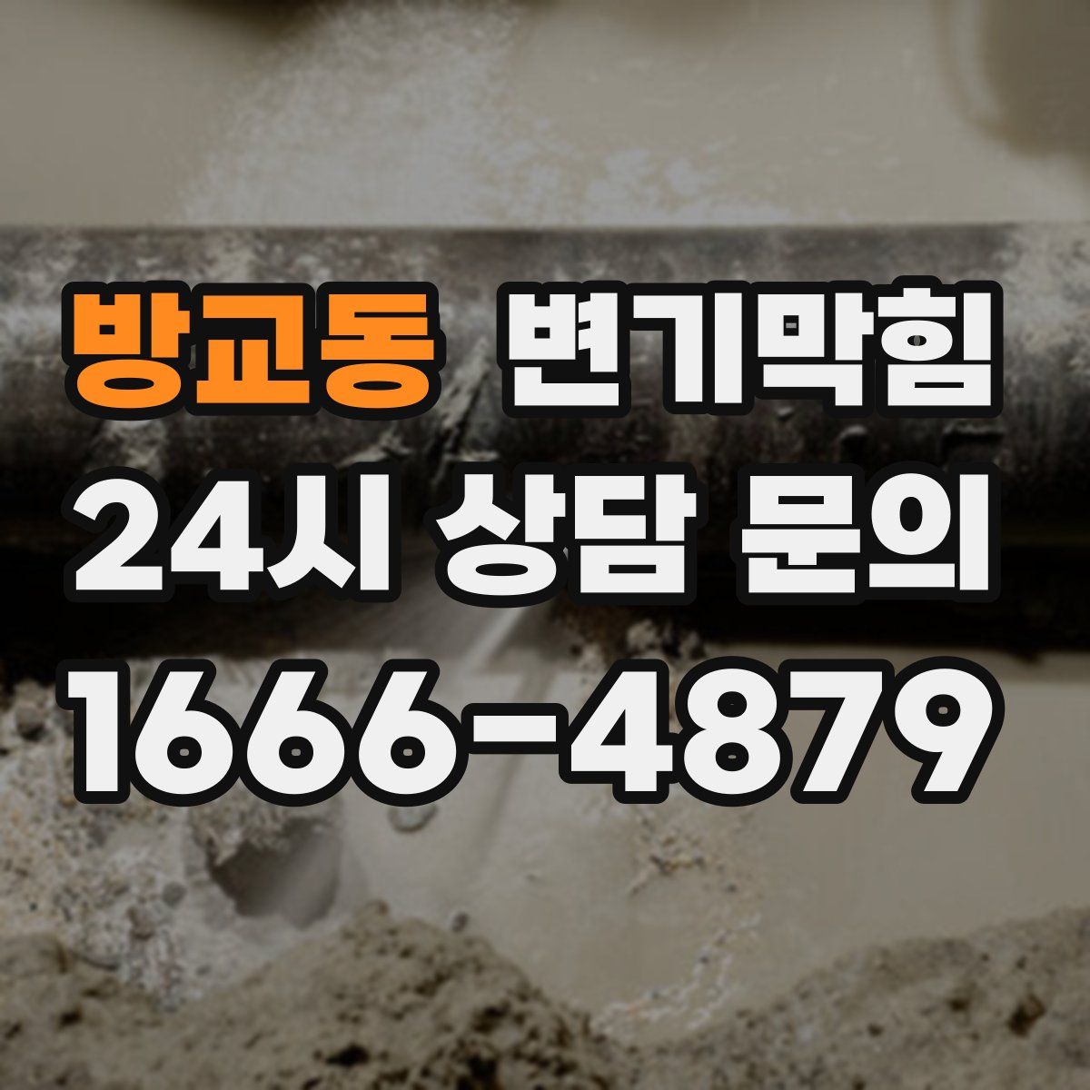 방교동 변기막힘