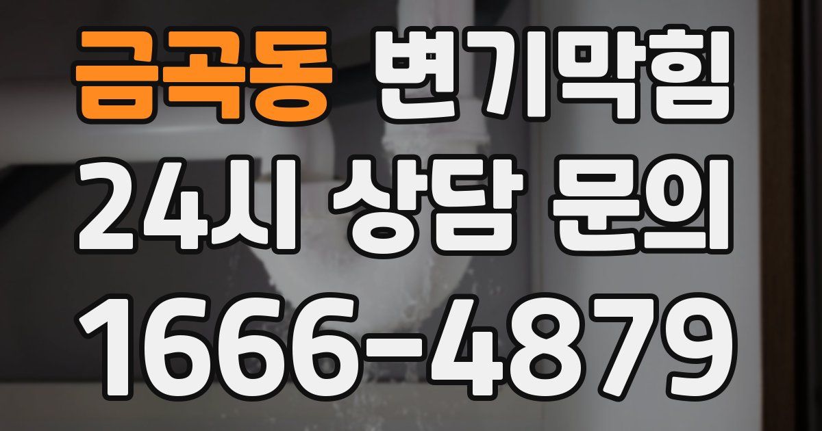 금곡동 변기