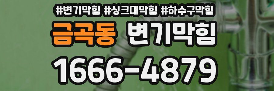 변기막힘