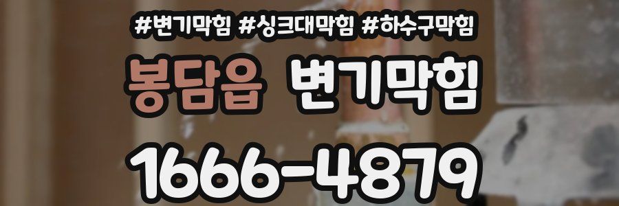 변기막힘