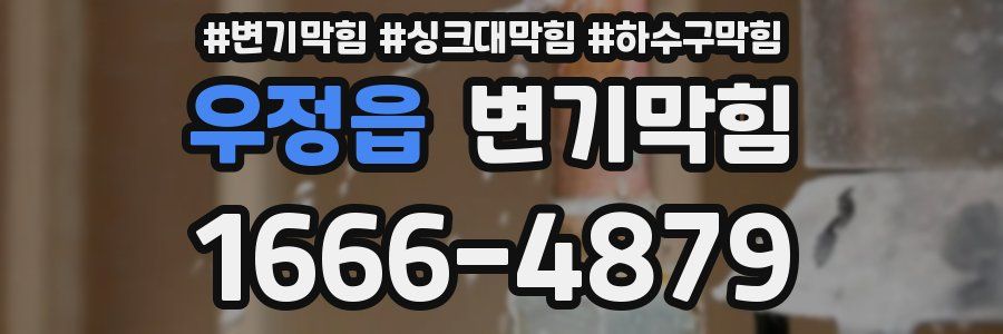변기막힘