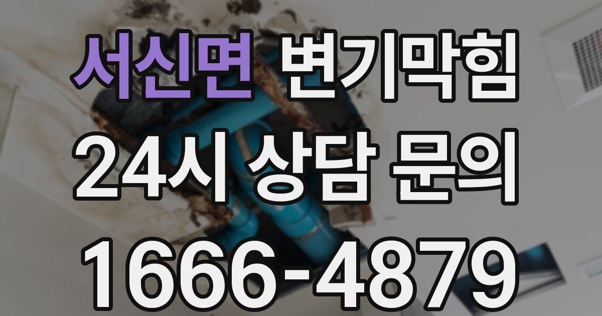 서신면 변기