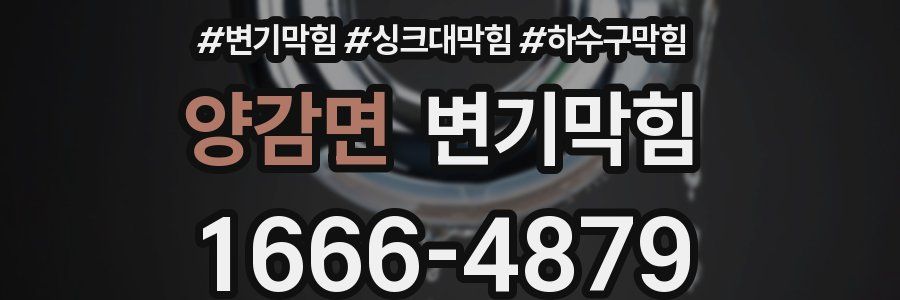 변기막힘