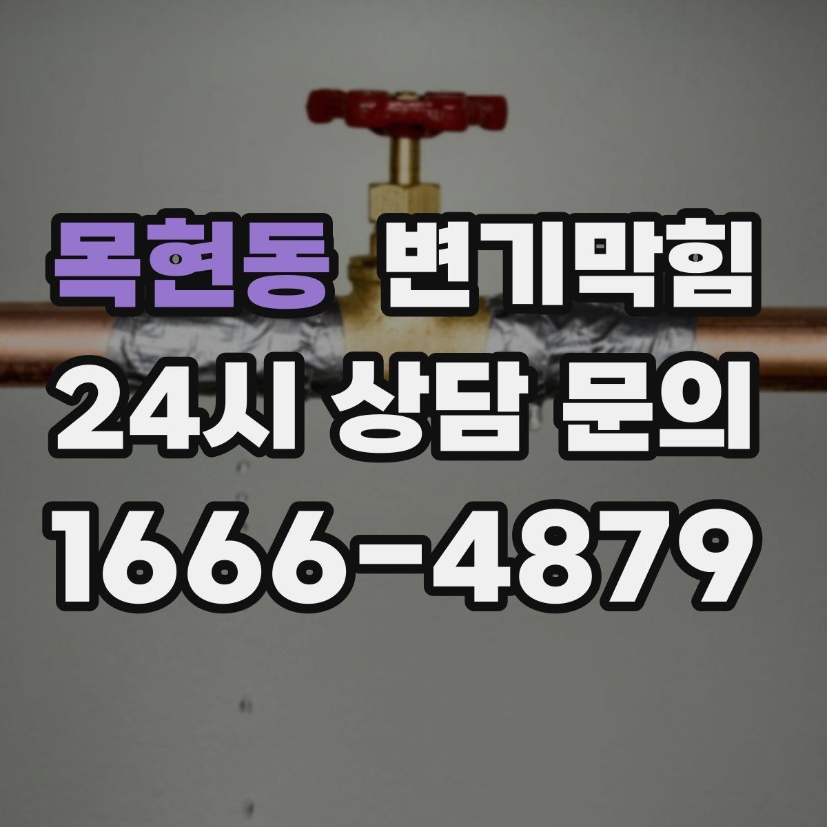 목현동 변기막힘 화장실 변기 막힘 내시경 진단이 필요한 때