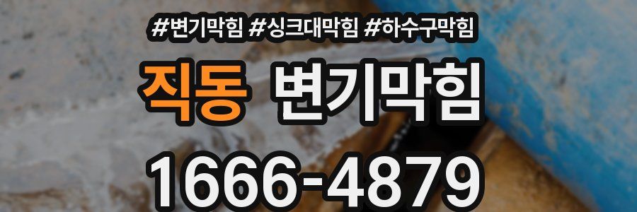 변기막힘