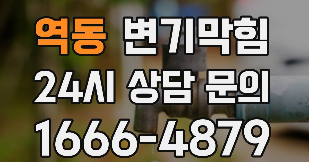 역동 변기