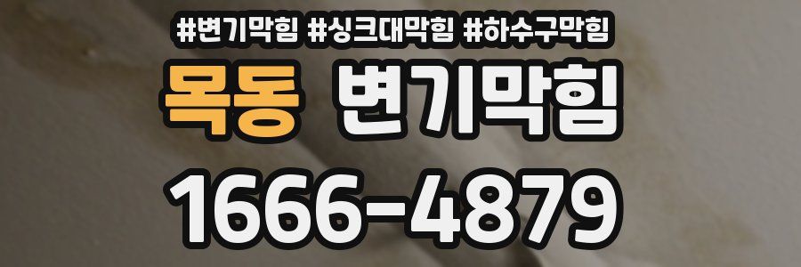 변기막힘