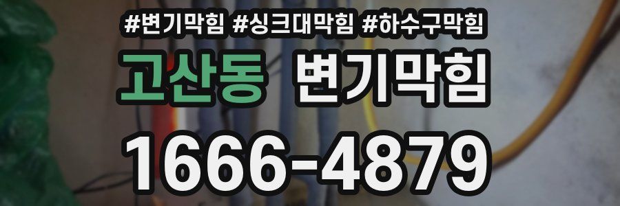 변기막힘