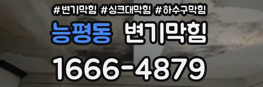 변기막힘