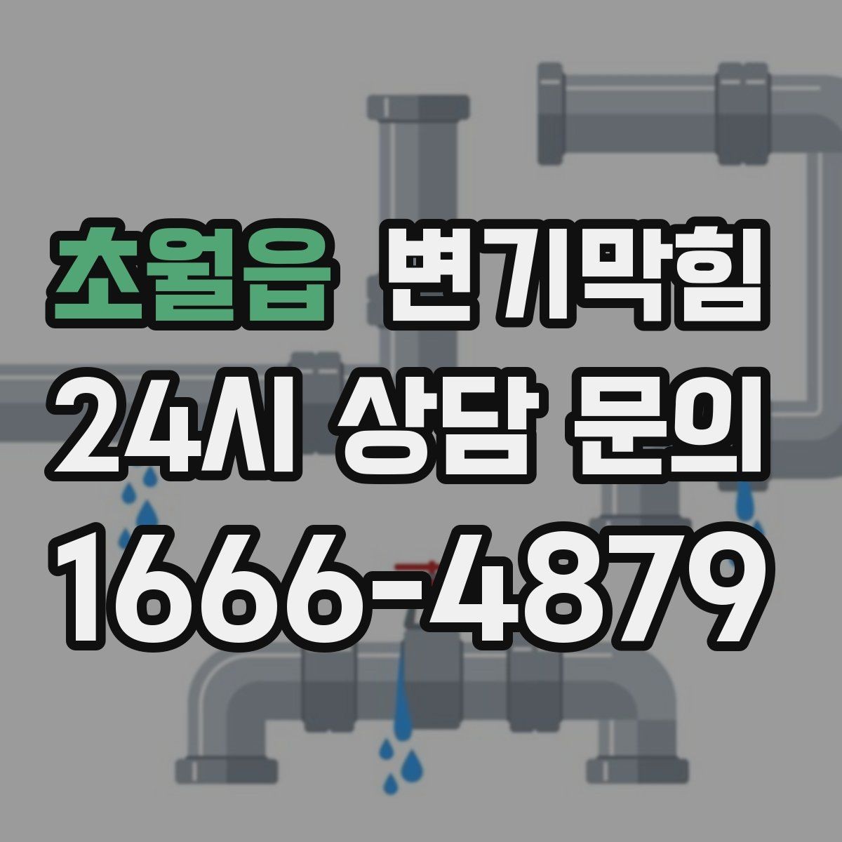 초월읍 변기막힘 변기 막혔을 때 당황하지 않고 점검하기