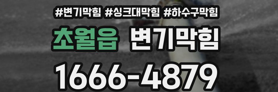 변기막힘
