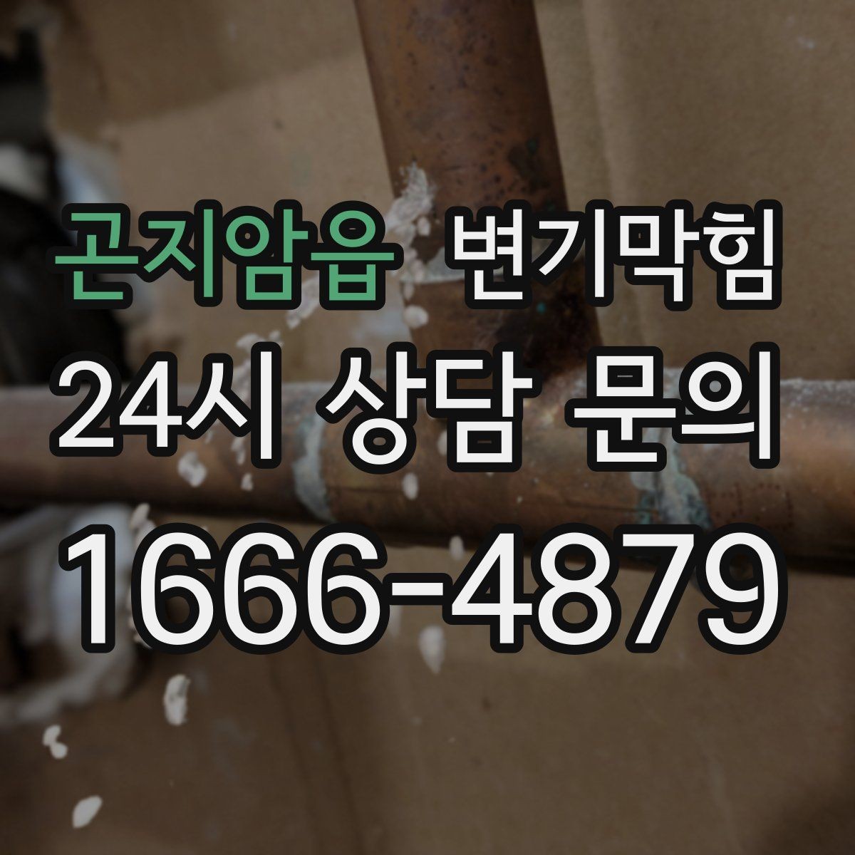 곤지암읍 변기막힘 변기 뚫는 비용 야간·심야 가산 기준