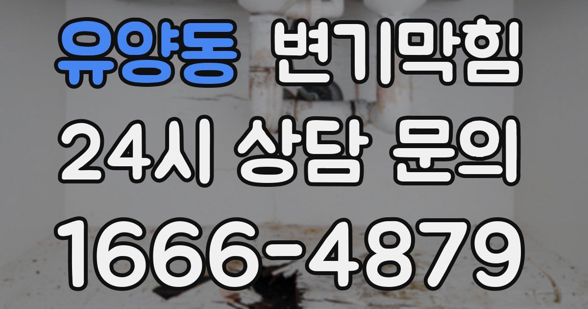 유양동 변기