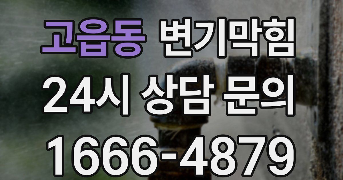 고읍동 변기