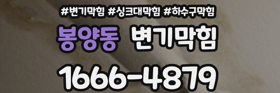 변기막힘