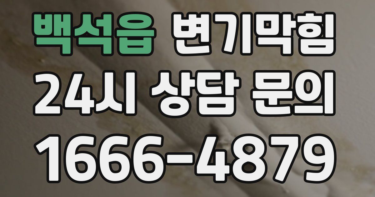백석읍 변기