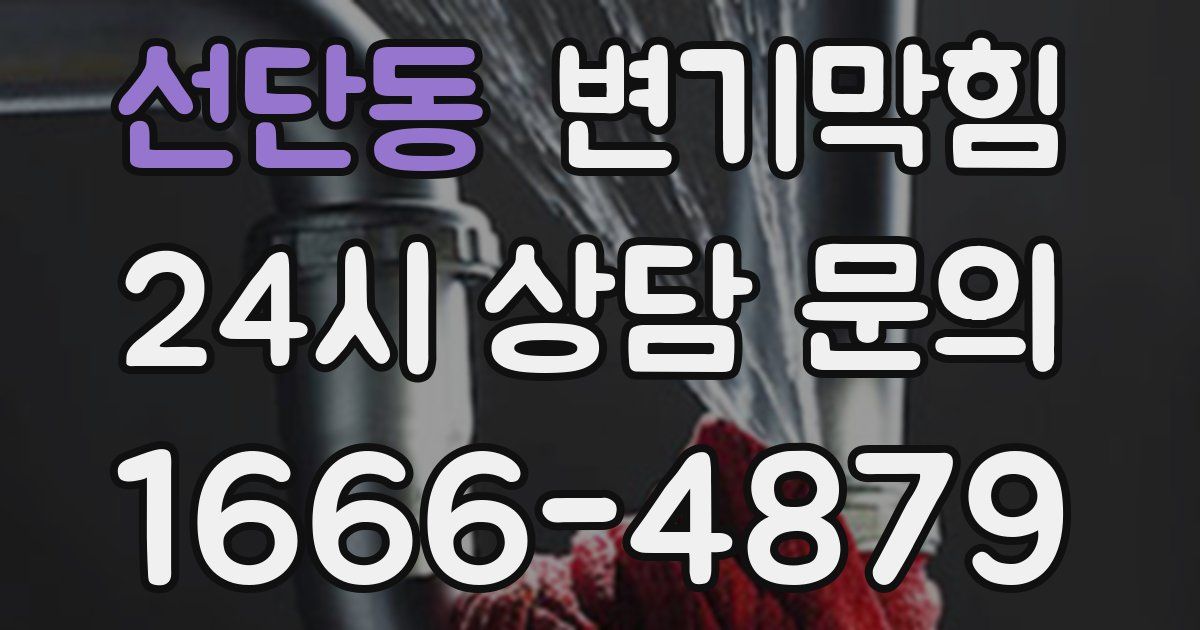 선단동 변기