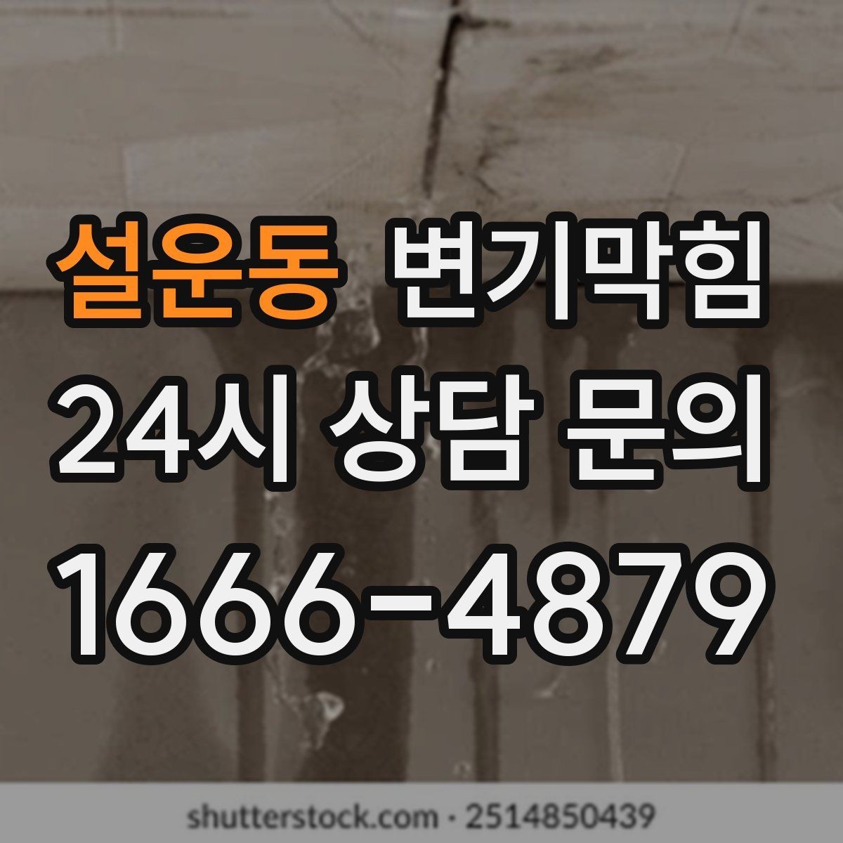 설운동 변기막힘 단독 주택 배수구막힘 누수 루트 차단