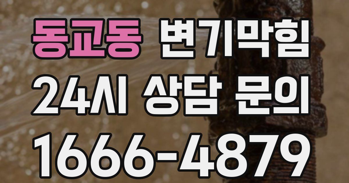 동교동 변기