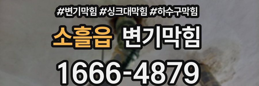 변기막힘
