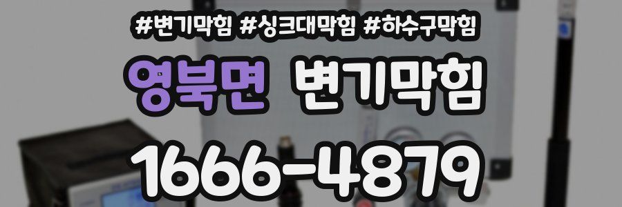 변기막힘