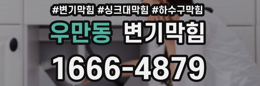 변기막힘