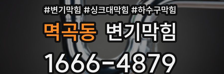 변기막힘